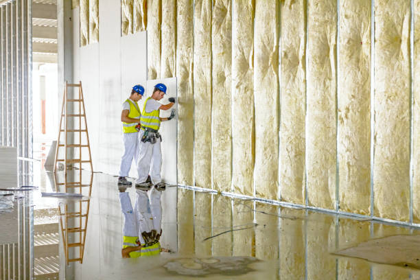 Best Residential Insulation in Kitsap Lake, WA